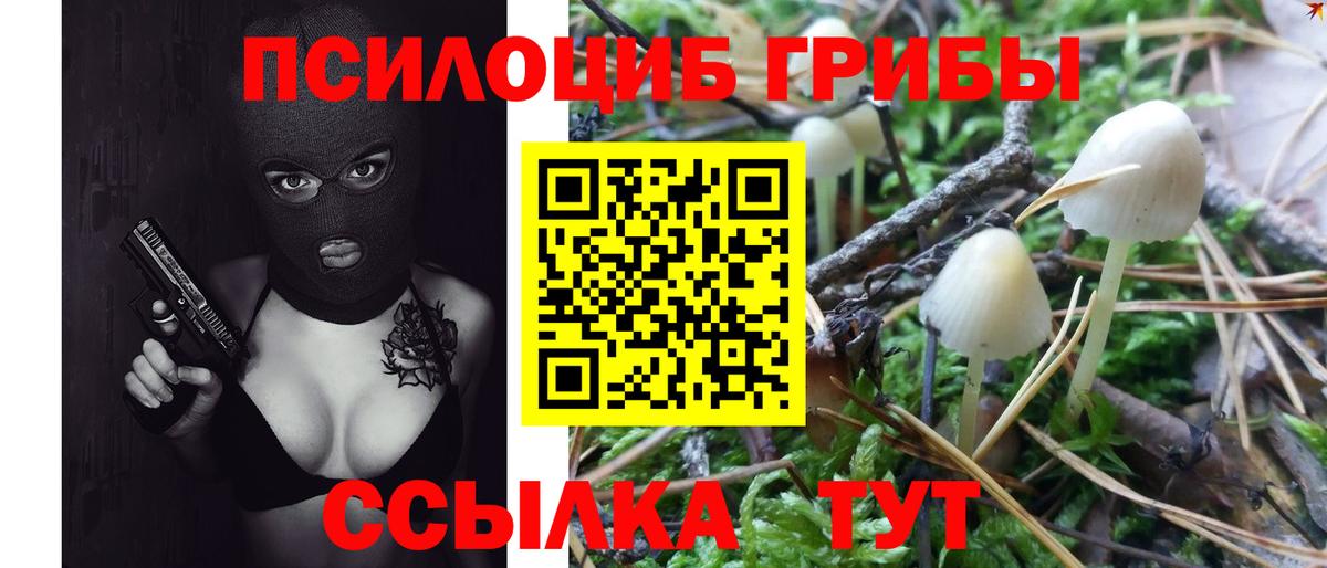 Галлюциногенные грибы GOLDEN TEACHER  Вход с VPN  Керчь 