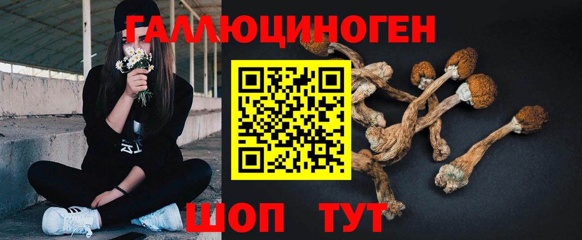 Псилоцибиновые грибы GOLDEN TEACHER Керчь